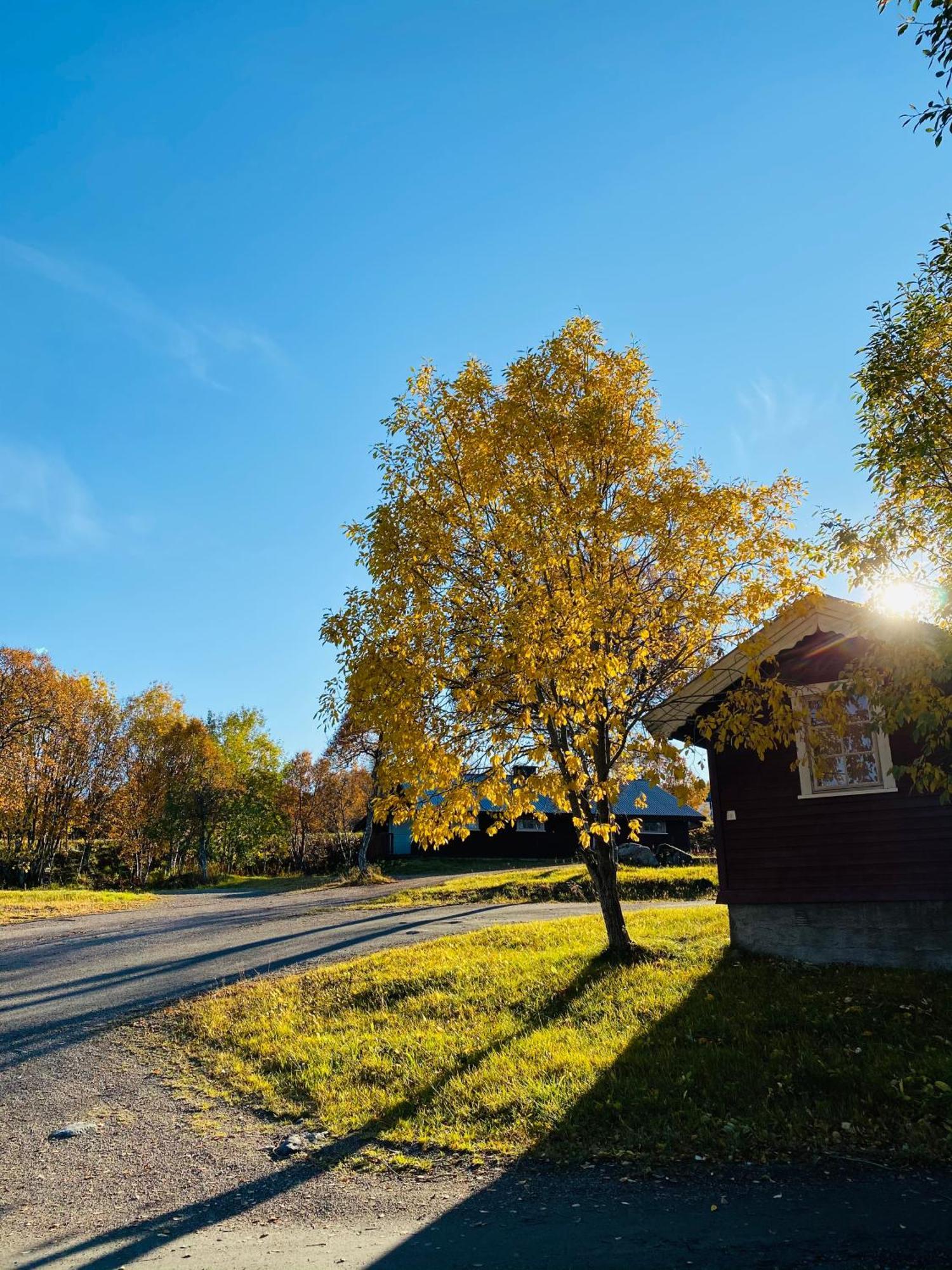 Sortland Camping Og Motell As Exterior photo